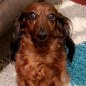 Meet your Posher, Mike